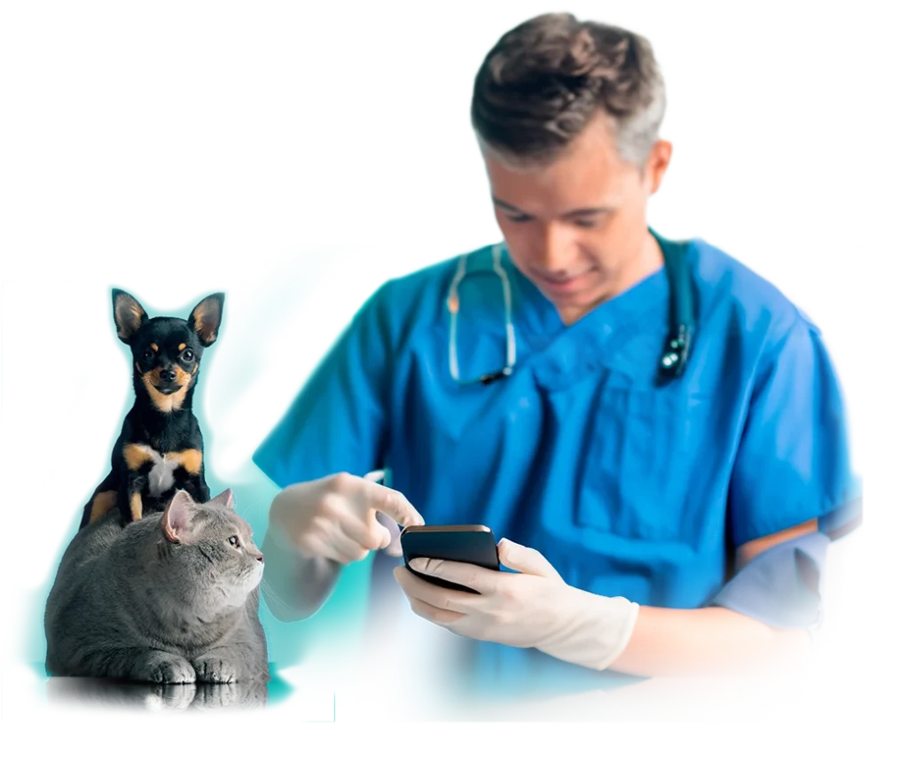 calculadora 2 perro encima de un gato y un medico veterinario utilizando una app