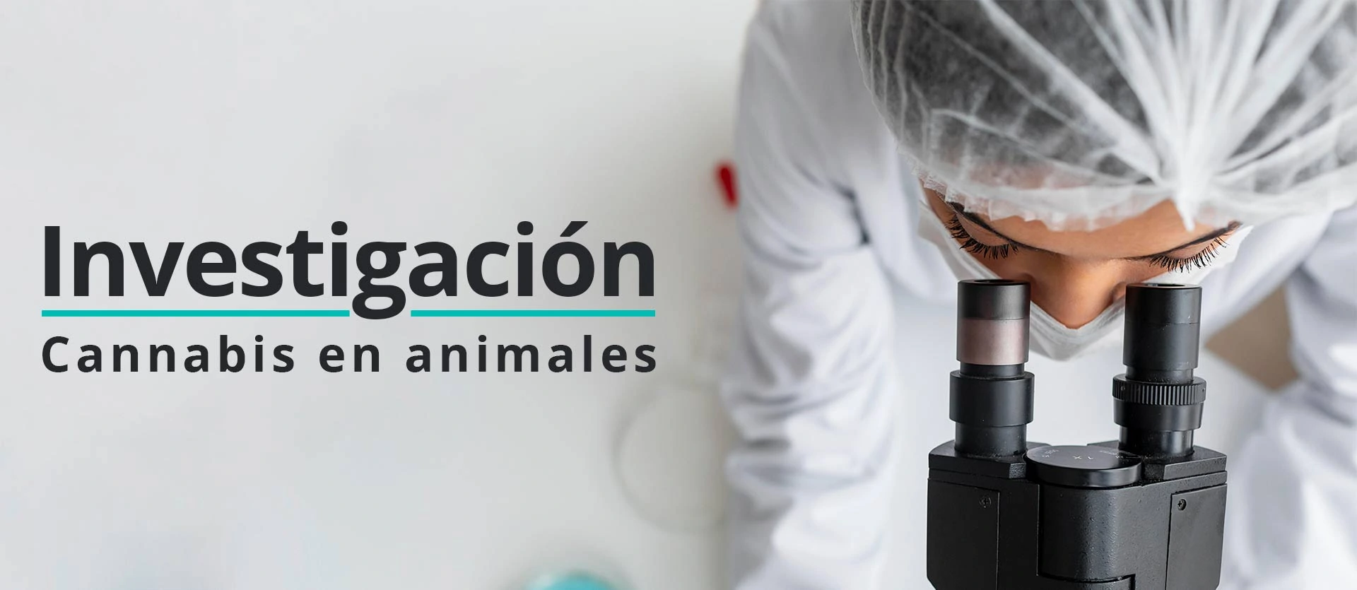 estudios de cannabis en animales