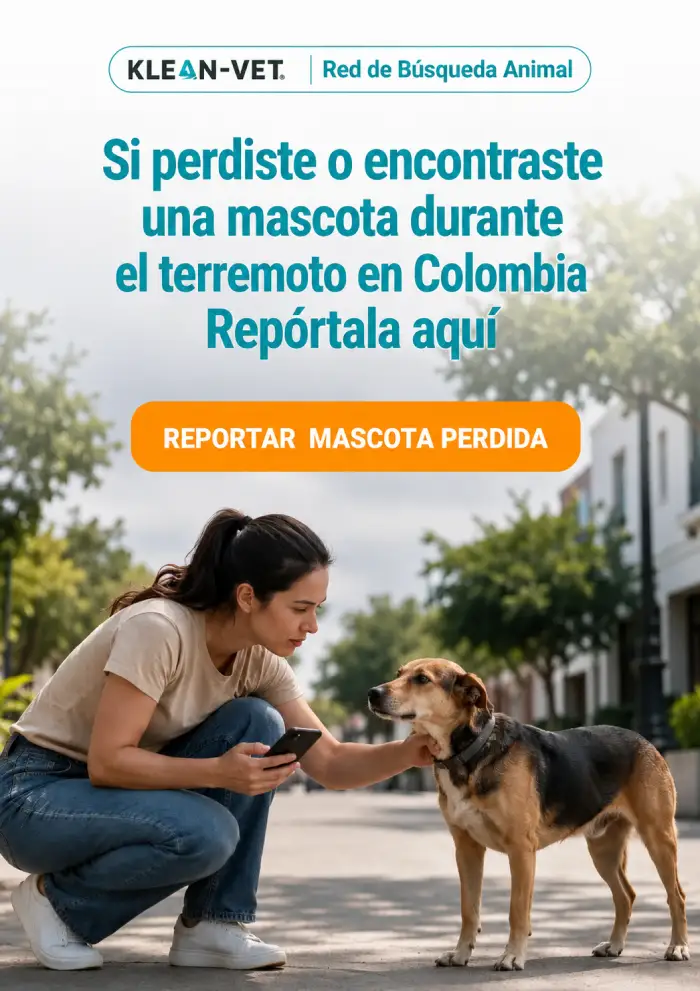 Reporta mascotas perdidas 