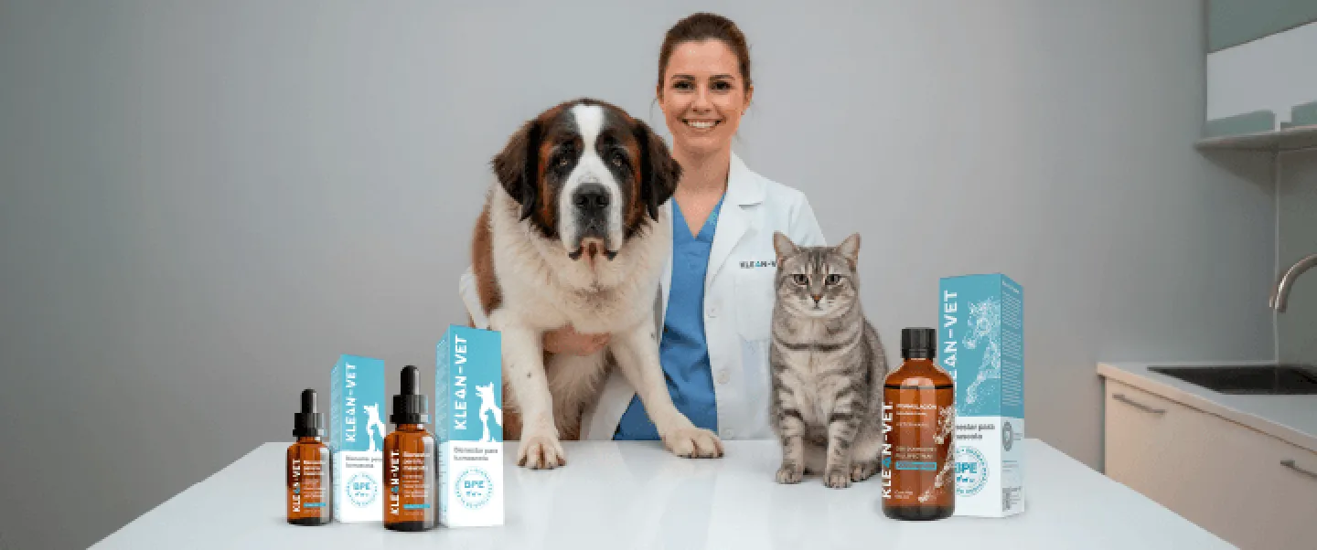 msacotas_y_medico_veterinario