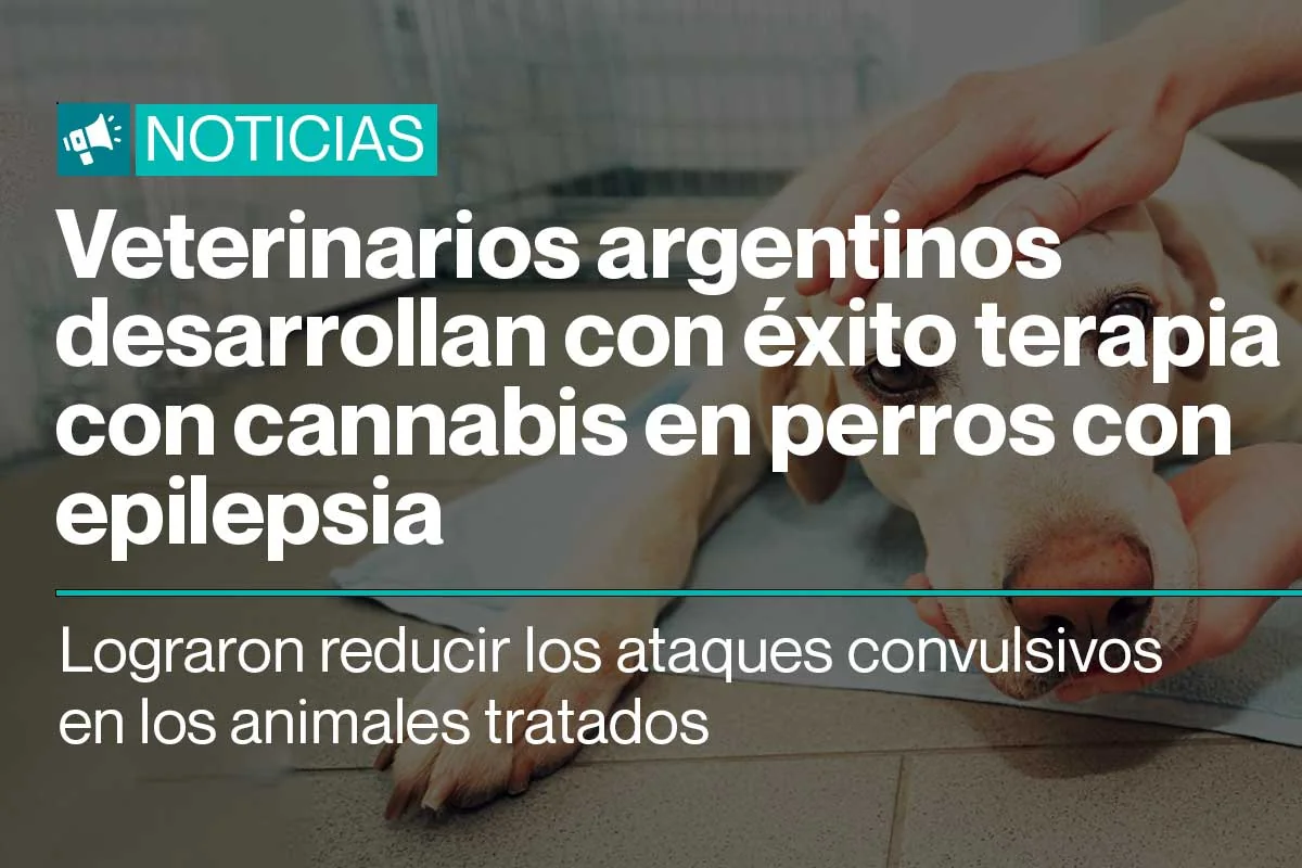 cannabis para perros con epilepsia