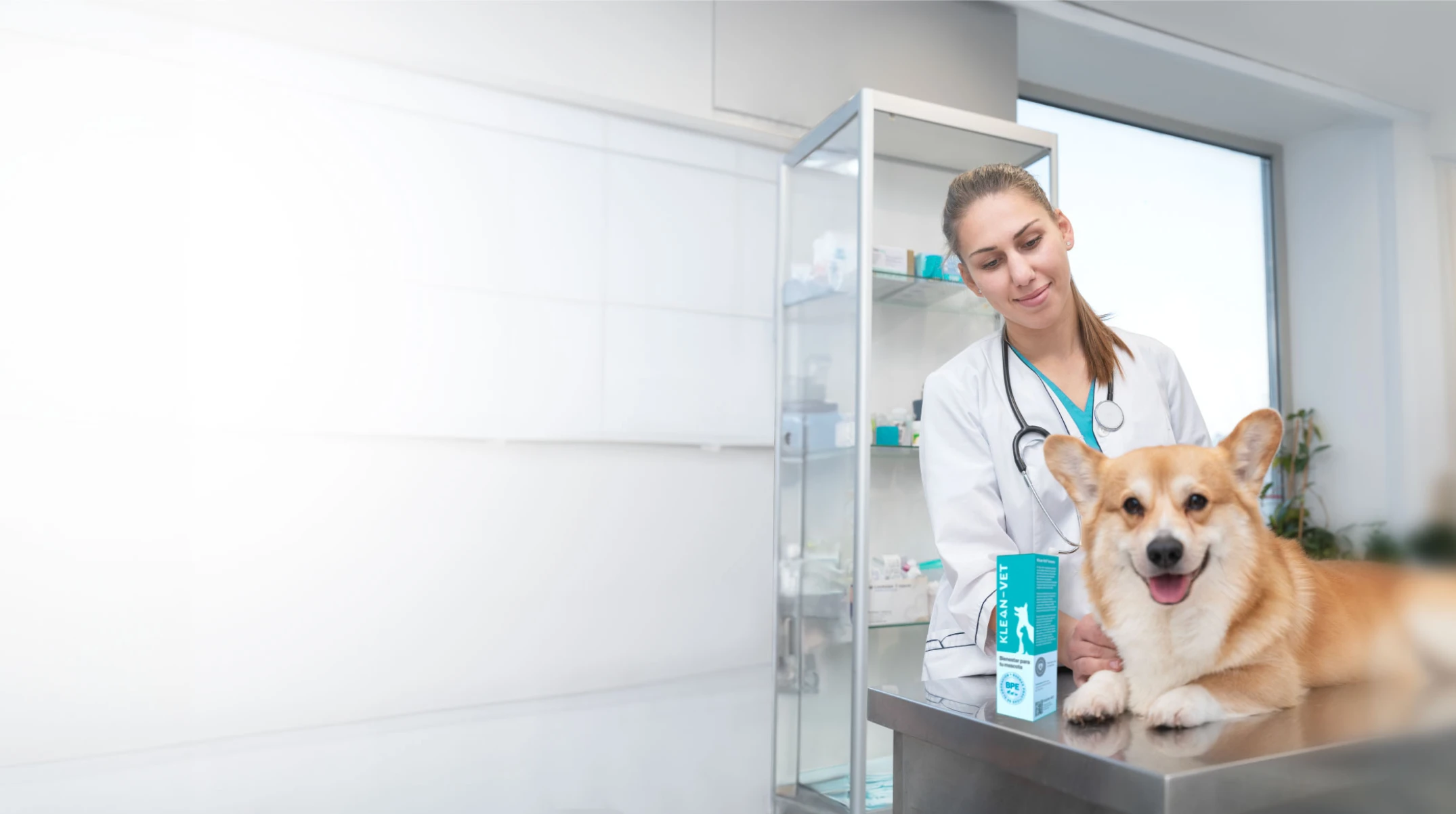 fotogracia de un consultorio veterinario con un perro, un medico veterinario y klean-vet