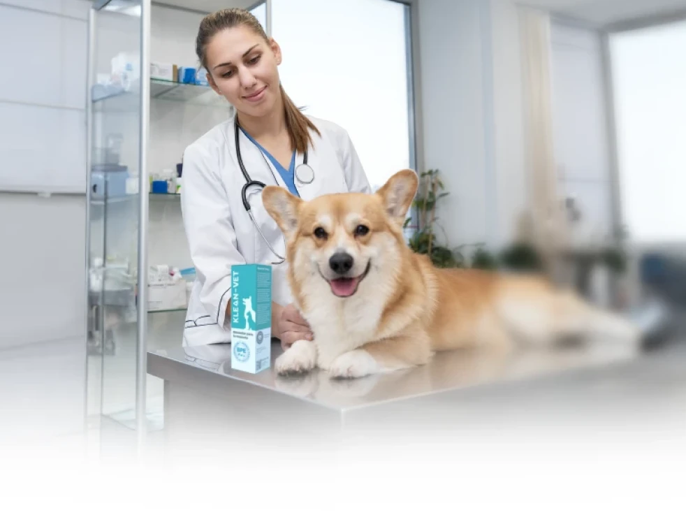 mujer veterinaria y perro en un consultorio